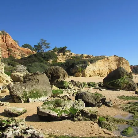 Lejlighed - 2 A 4 Pessoas- Piscina Olhos de Agua (Albufeira)